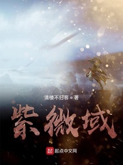 紫微域