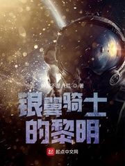 银翼骑士的黎明