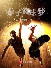 赤子篮球梦
