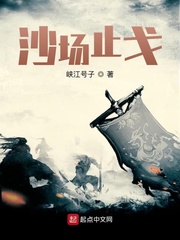 沙场止戈