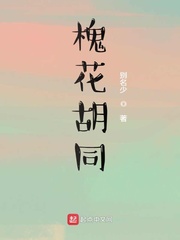 芝麻胡同老爷子