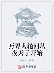 万界大轮回从夜天子开始