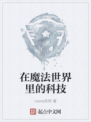 在魔法世界里的科技