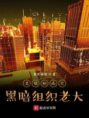 名侦柯南之黑暗组织老大