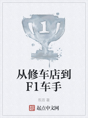 从修车店到F1车手