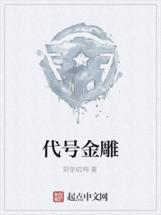代号金雕