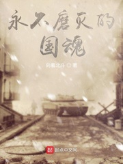 永不磨灭之魂