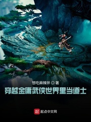 穿越金庸武侠世界里当道士