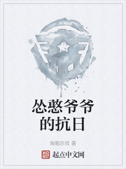 怂憨爷爷的抗日