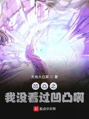 凹凸之我没看过凹凸啊