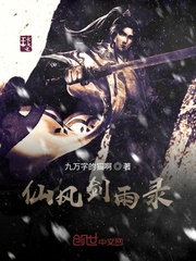 仙风剑雨录