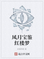 风月宝鉴红楼梦