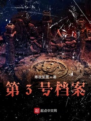 第3号档案