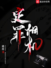 定罪相机