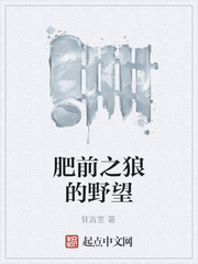 肥前之狼的野望