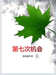 第七次机会
