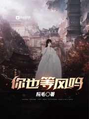 你也等风吗