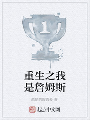 重生之我是詹姆斯