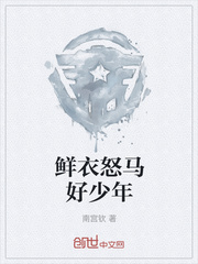鲜衣怒马好少年