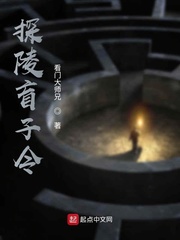 探陵盲子令