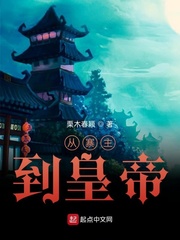 从寨主到皇帝