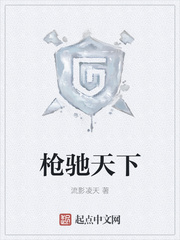 枪驰天下