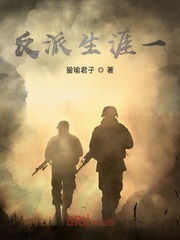 反派生涯一