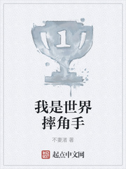 我是世界摔角手