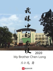我眼中的龙使2020