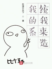 我的系统我来造