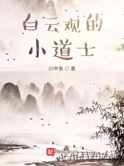 白云观的小道士