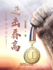 排球传记之进击春高