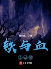 铁与血之战国