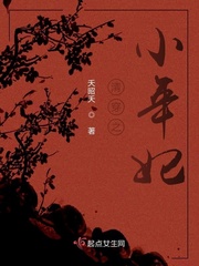 清穿之小年妃