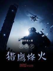 抗战之猎鹰烽火