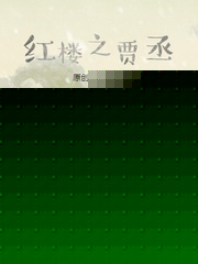 红楼之二房嫡子贾丞