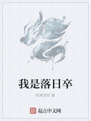 我是落日卒