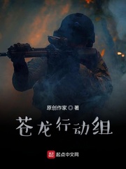 苍龙行动组