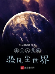 宙主入凡体验凡尘世界
