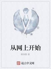 从网上开始