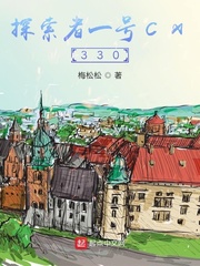 探索者一号Cx330