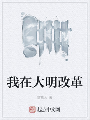 我在大明改革
