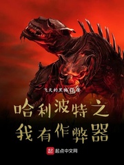 哈利波特之我有作弊器