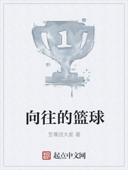 向往的篮球