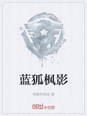 蓝狐枫影