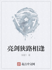 亮剑狭路相逢