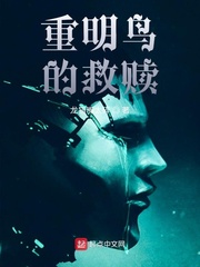 重明鸟的救赎