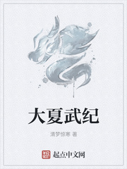 大夏武纪