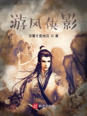游风侠影