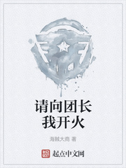 请向团长我开火